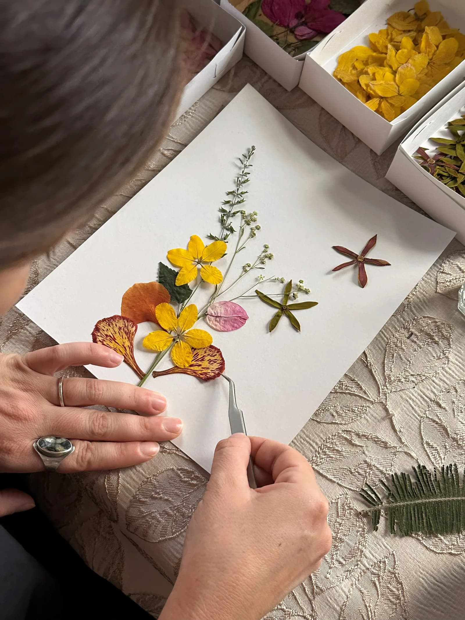Manos componiendo flores prensadas sobre el lienzo.